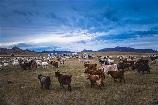 2021年内蒙古耕地占用税多少钱-摄图网