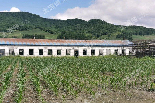 吉林蛟河市有70个村完成了农村产权改革折股量化工作