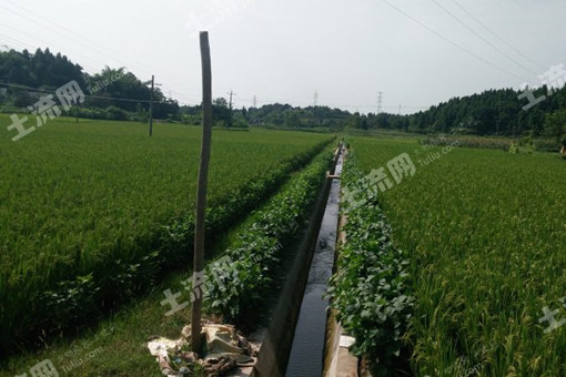 四川绵阳涪城区供销社组织宣讲农村产权流转交易等政策